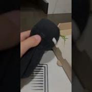 Когда Получил 2 В Школе
