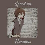 Номера Лсп Speed Up