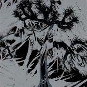 Plastic Tree No Rest For The Wicked