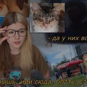 Как Мы Хотели Спасти Котят А Нас Материли