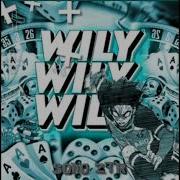 Sono Ztr Willy Willy Willy