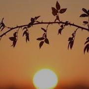 Музыка 2018 Для Души Релакс Relax Music Спокойная Красивая Музыка Для
