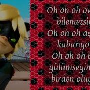 Mucize Uğur Böceği Ile Kara Kedi Şarkısı Lyrics