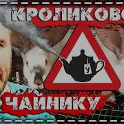Разведение Кроликов Без Ошибок Руководство Для Начинающих Фермеров