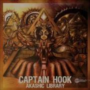 Liquid Soul Crazy People Captain Hook Domestic Remix