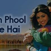 Kyoon Phool Khilte Hain Aao Pyaar Karen 1994 Song Saif Ali Khan