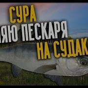 Русская Рыбалка 4 Судак На Живца Река Сура