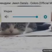 Кот Танцует Танец Выгу Выгу Выгу