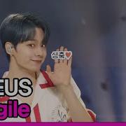 Oneus Fragile