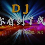 你看到了我Dj