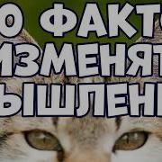 Короткие Рассказы О Спорте