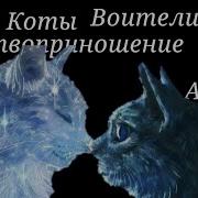 Жертвоприношение Алисы Коты Воители Клип