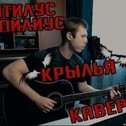Наутилус Помпилиус Крылья Кавер На Гитаре Guitar Cover By Sheyzi