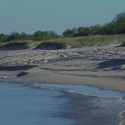 Звуки Природы Море Птицы