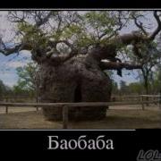 В Высоцкий Хорошая Религия