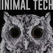 Evil Owl Minimal Techno Energy 2021 Summer