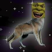 Мс Кус Шрековоук