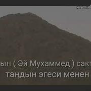 113 Сүрө Фалак Умаркул Каары