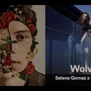 If I Can T Have Wolves Mashup Of Shawn Mendes Selena Gomez Marshmello