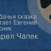 Карел Чапек Собачья Сказка