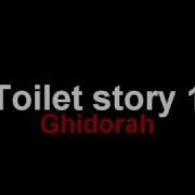 Toilet Story 1