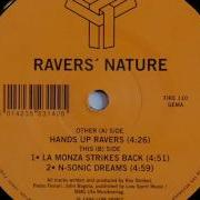 Ravers Nature Hands Up Ravers