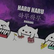 Haru Haru Bongo Cat