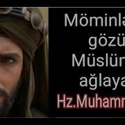 Imam Hüseyn Ə S Əmisi Oğlu Hz Müslim Ə S