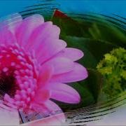 Очень Красивые Музыкальные Открытки Бесплатные Уроки Музыкальные Видео Открытки