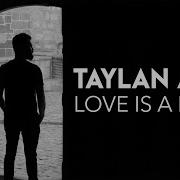 Love Is Bitch Taylan Ayaz