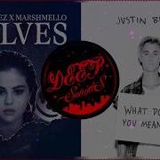 Selena Gomez Justin Bieber Wolves X What Do You Mean Mashup