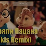 Бурундуки Remix