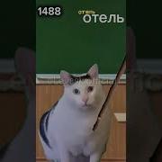 Такой Ученик Никогда Не Закончит Школу