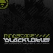 Mindscape Timecraft