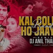 Ho Jaayega Remix