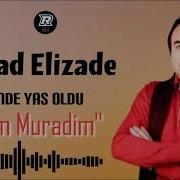 Haminin Axtardigi Qemli Mahni Gozumde Yas Oldu Arzum Muradim