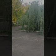 Осень Дождь The Smile