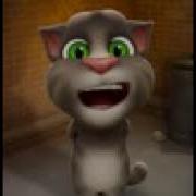 Talking Tom Injuraturi