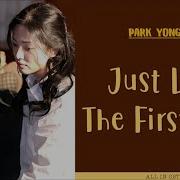 Park Yong Ha Like The First Day