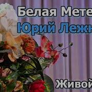 Вадим Казаченко Белая Метелица Юрий Лежневич
