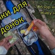 Саша Иванов Живу На Земле