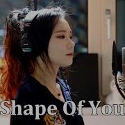 J Fly Shape Of You