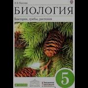Биология 5 Класс 10 Параграф Пасечник