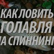 Рыбалка На Кубани