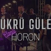 Şükrü Güler Horon Potpori