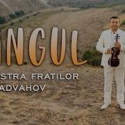 Orchestra Fraților Advahov Hangul