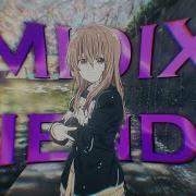 Midix Voice Tag