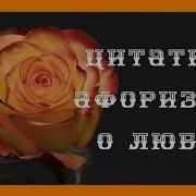 Мудрые Высказывания О Любви