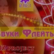 Liz Project