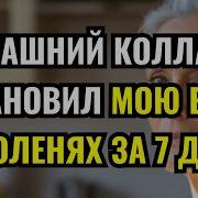 Домой 84